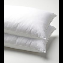 Jason Polyester Pillows