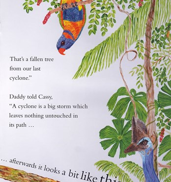 Children's Book - Cassy's Tale (cassowary) Image