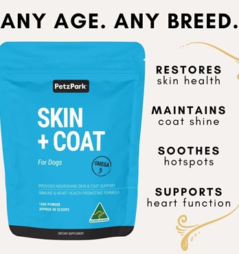 Petz Park Skin + Coat for Dogs Image