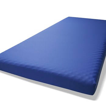 Pressure Sensitive Mattresses (PSM) and Healthcare Supports Image