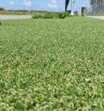 Silverback Coolplus 40 40mm Synthetic Turf Image