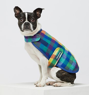 Duncan Pure Wool Dog Sportcoats Image