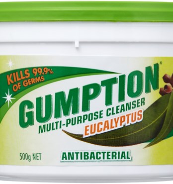 Gumption Paste Multi Purpose Cleanser Image