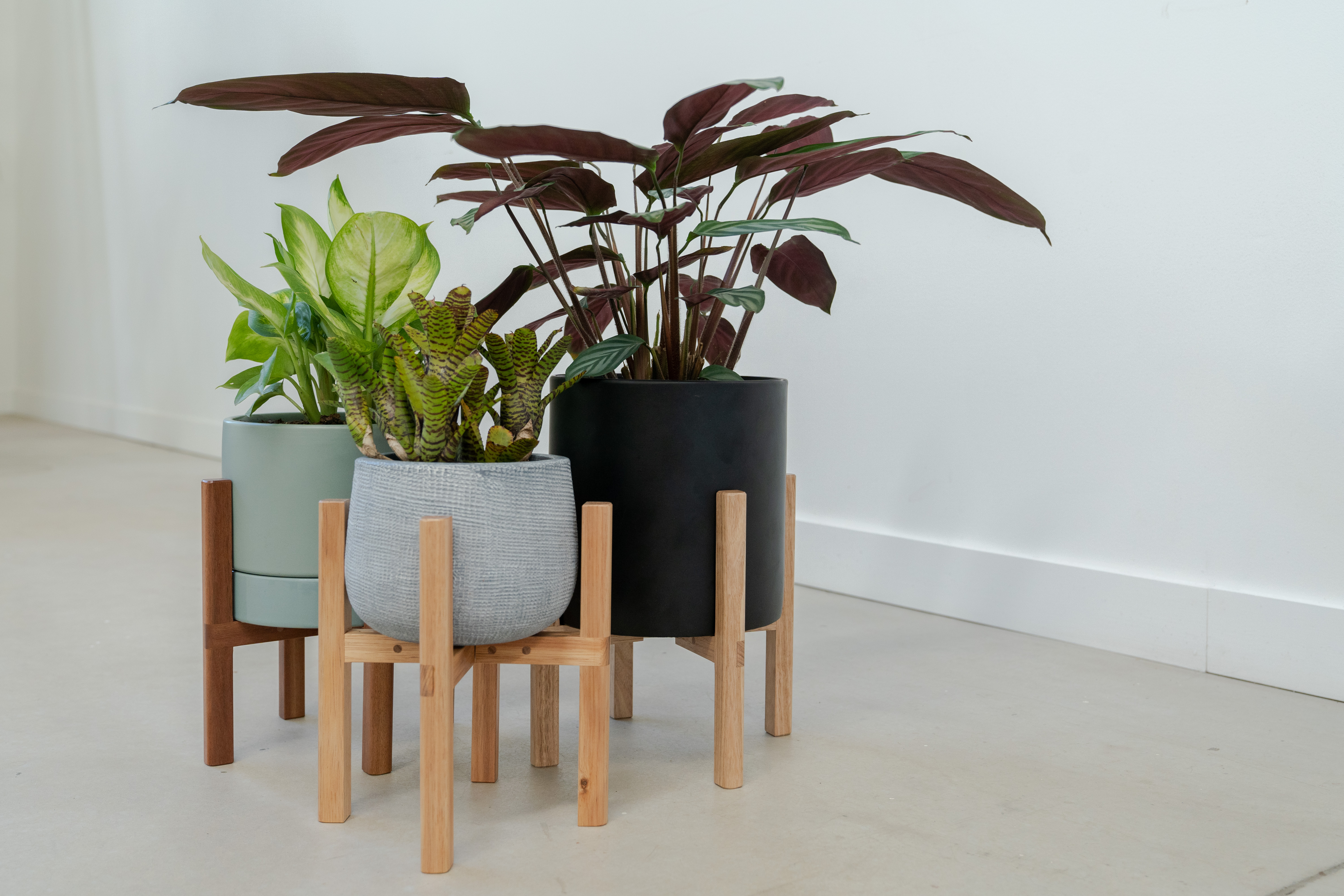Adjustable Plant Stand The Australian Made Campaign