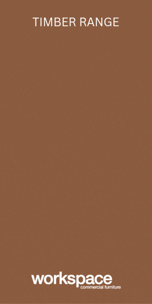 2604-Workspace-300x600