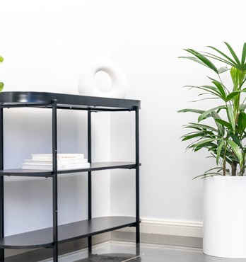 Cylindro Planter range Image