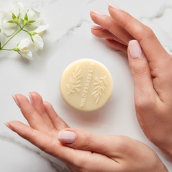 Tasmanian Gold solid lotion bar