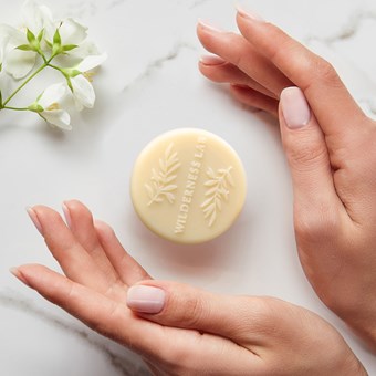 Tasmanian Gold solid lotion bar