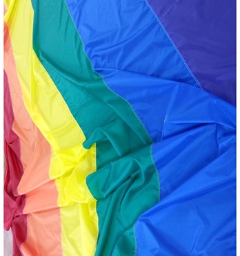 Pride Flags  Image