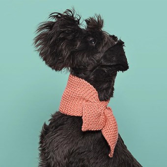 Hand-Knitted Dog Scarves