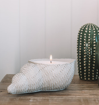 Chameleon Sand Candle Image