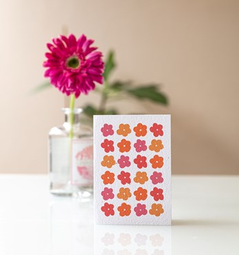 Plantable Greeting Cards Image