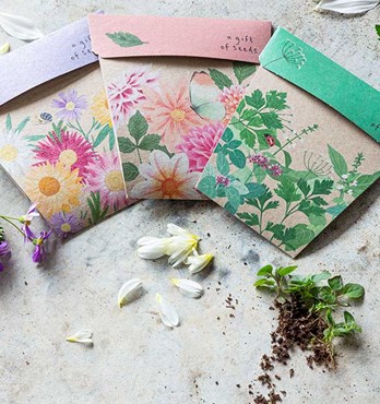 Gift of Seeds Greeting Cards Image