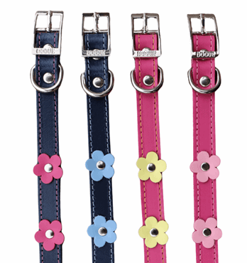 DOGUE Flower Pop Collection Image