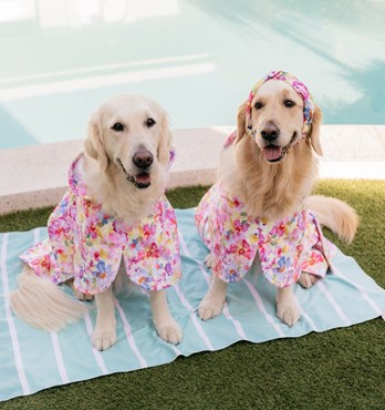 Dog Poncho Towels Image