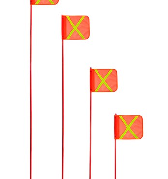 Buggy Whips (Safety flags) Image