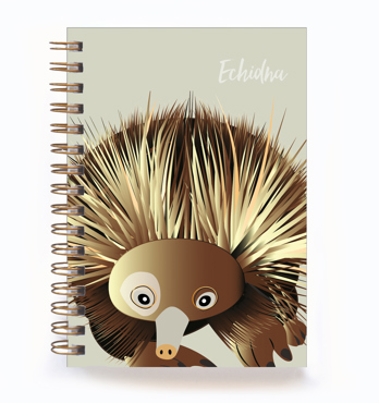 Journals  -  A5 and A6 Wire Bound and Perfect Bound Image