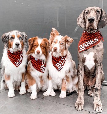 Byron & Co Bandanas Image
