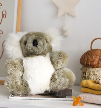 Tambo Teddy Koalas Image