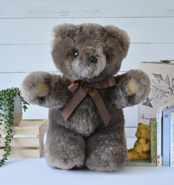Tambo Teddies Logo Bear Image