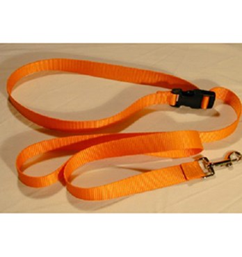 Webbed Dog Leads & Collars Image