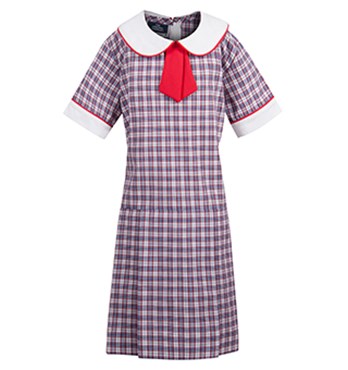 School Uniform Dresses Image