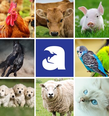 Complete Health Probiotics For Animals Image