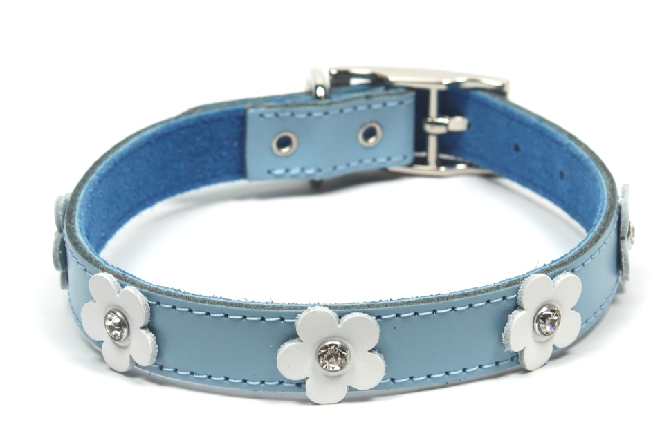 DOGUE Foxy Collection 