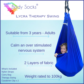 Sensory Swing