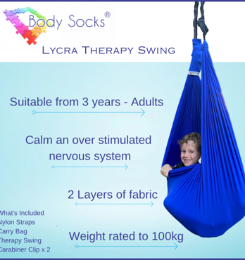 Sensory Swing Image