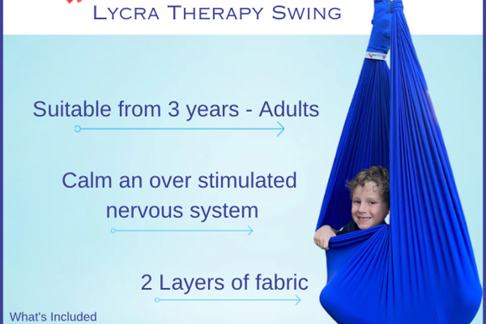 Sensory Swing