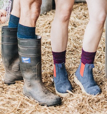 Merino Wool Socks Image