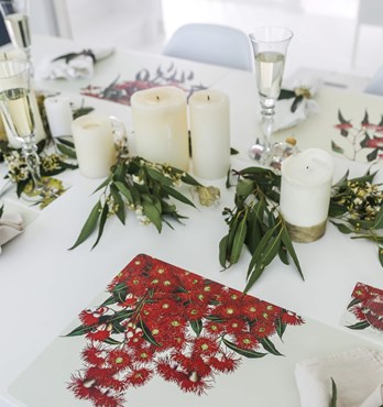 Dining Placemats Image