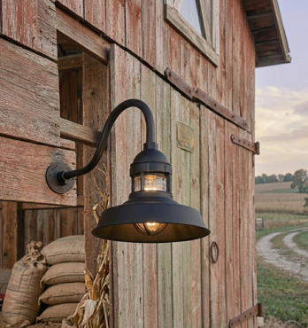 Sydney Caged Gooseneck Barn Light Image