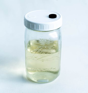 Uncolonized Liquid Culture Jars with nutrient, magnetic stirrer  Image