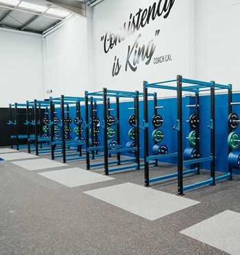 Gym Equipment - Rigs and Cages Image