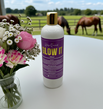 Horse Queened Glow It Image