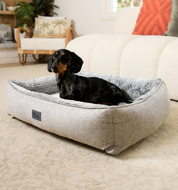 Dog Lounger  Image