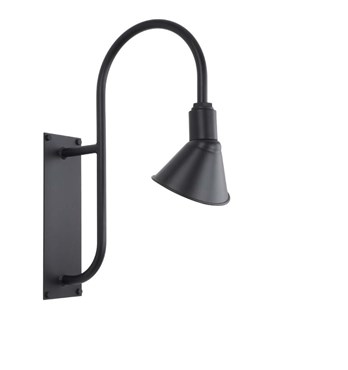 The Elliptical Ranch Outdoor Wall Light Image