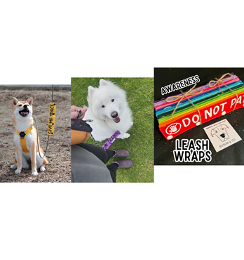 Byron & Co Leash Wrap Image