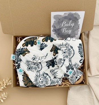 Boys Baby Gift Box – Lions Image