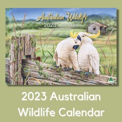 Large Australian Wildlife 2023 Wall Calendar