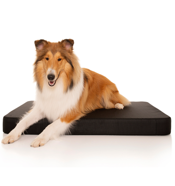 TuffMat! Orthopedic Dog Bed - Certified Non-toxic Image