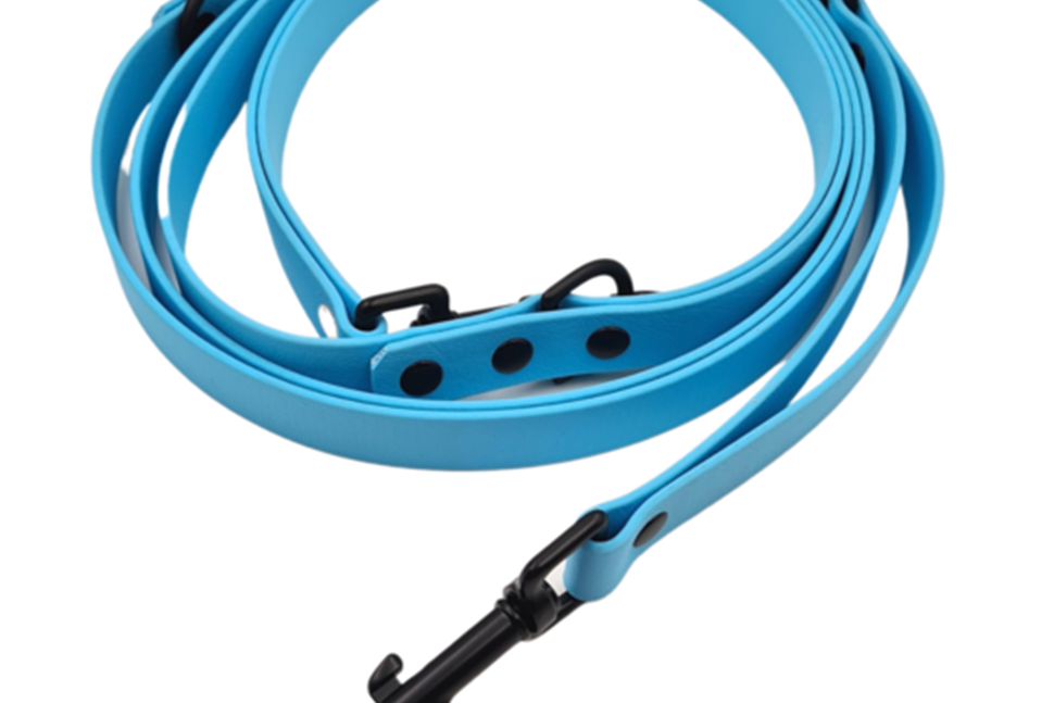 Weatherproof Strapping Dog Leads (Biothane)