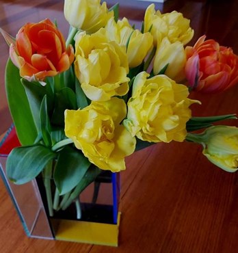 Fresh Cut Flowers - Tulips Image