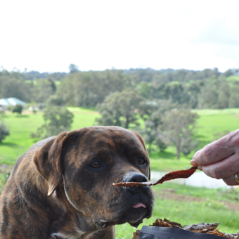 Premium Hemp Treats - Beef or Kangaroo