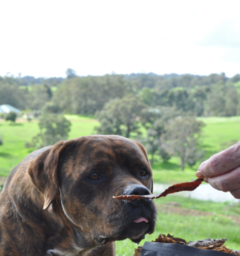 Premium Hemp Treats - Beef or Kangaroo Image