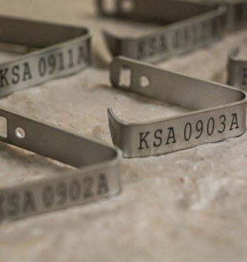 Titanium Turtle Tags Image