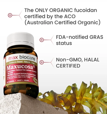 Maxucosa Image