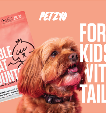 Kibble That Counts Image